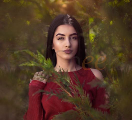 Imran Brothers Photo Studio